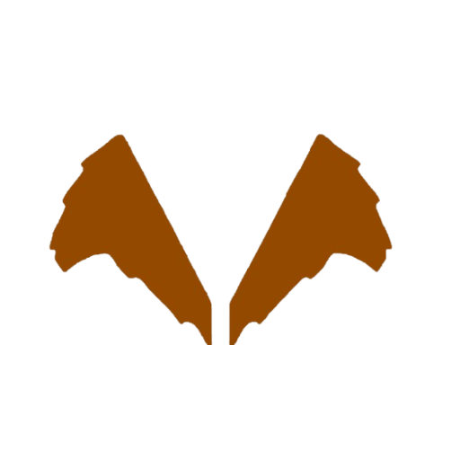 Viraloh